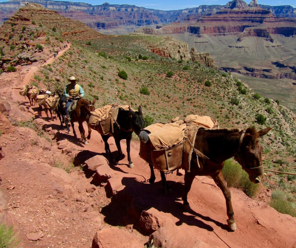 Grand Canyon South Kaibab Trail